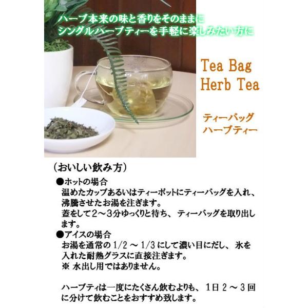 ハーブティー 有機 エキナセア ティーバッグ ハーブティー １０ヶ入 生活の木 オーガニック Buyee Buyee Japanese Proxy Service Buy From Japan Bot Online