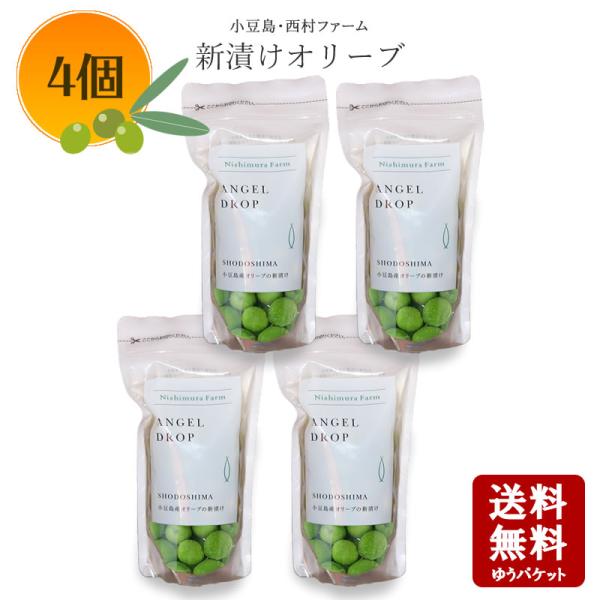 ショートタイプオリーブ36 ザ・ノース・フェイス THE NORTH FACE レディース アウトドア ハーフ