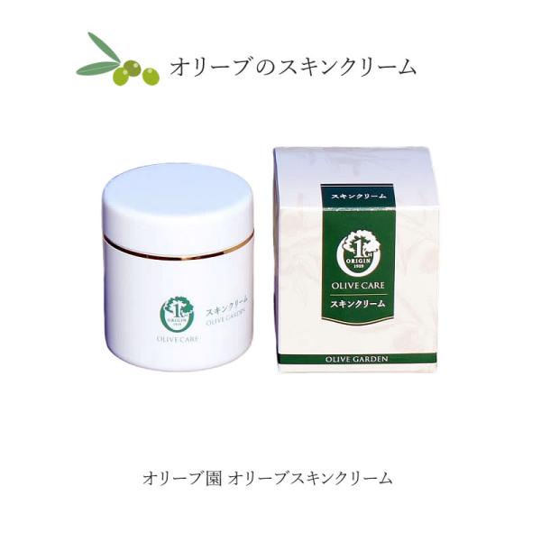 オリーブ園 オリーブスキンクリーム 60g  保湿クリーム スキンケア しっとり  普通肌 乾燥肌 脂性肌