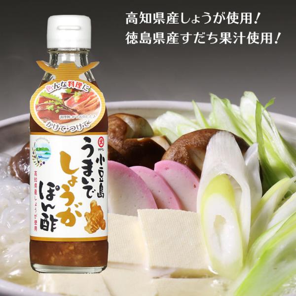 爽やかな香りの高知県産の生姜、徳島県産すだち果汁を使用。ほんのりとした甘味とスッキリとした辛味のあるぽん酢です。サラダ・鍋・しゃぶしゃぶ・唐揚げ・焼き魚などいろいろな料理にかけて、また、冷奴のたれなどいろいろな料理にご使用いただけます。※こ...