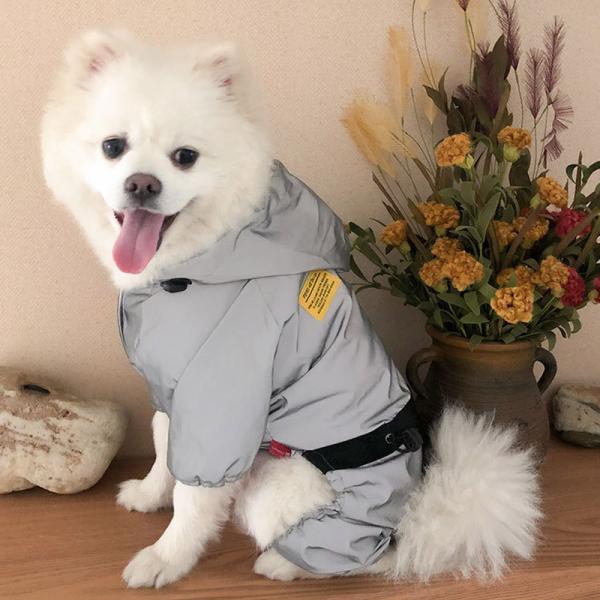  CR[g hbOEFA [ht S̔ p CEFA  U s o ̕ ybgpi hbO J Jbp GȂ 