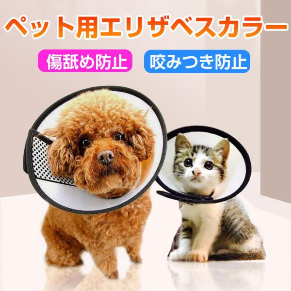 GUxXJ[  L  ی  y p ی rߖh~ ݖh~ ~h~ ybgpi