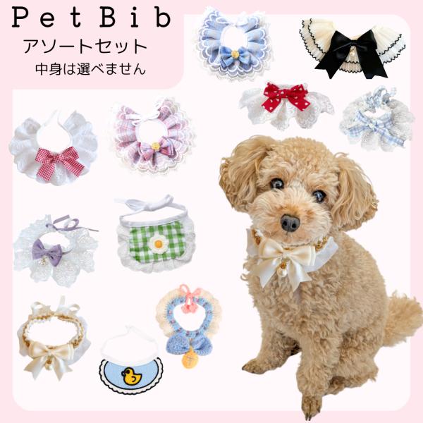 犬用 猫用 帽子 チョーカー おしゃれセット oliveplazaolive_pdw028