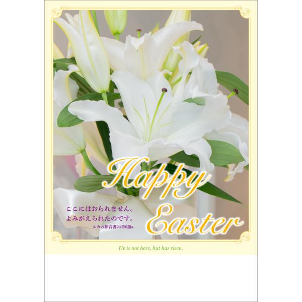 イエス様の復活をお祝いするイースター礼拝を彩るプログラム用紙で。使いやすい同柄30枚入りです。A4サイズで二つ折りにして使用します（写真は二つ折りにした時のものです）。ルカ24：6a（新改訳２017）の聖句が和英対訳で表紙に入っています。サ...
