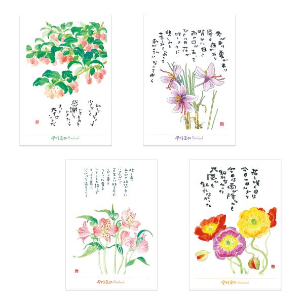 星野富弘B6ノート　詩画　植物　草花　星野富弘氏のことば入り　星野富弘　B6判　ノート　U罫　罫幅8ミリ　グミ　サフラン　アルストロメリア　ポピー
