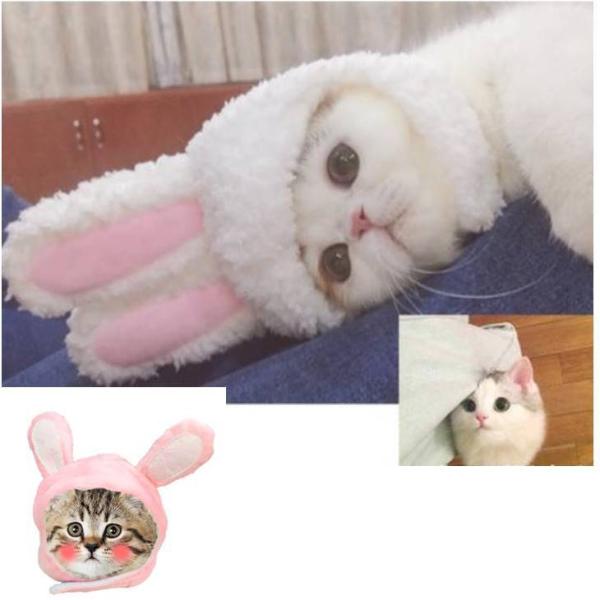 犬 服 うさぎ 猫用ペット服の人気商品 通販 価格比較 価格 Com