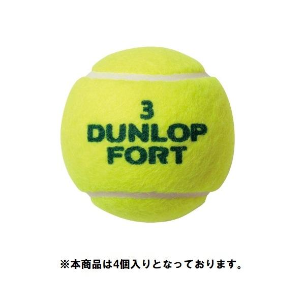 ダンロップ Dunlop フォート プレッシャーライズド テニスボール 4個入り 硬式テニスボール Fort4 イエロー 402 Fort4 オオミヤ スポーツ 通販 Yahoo ショッピング