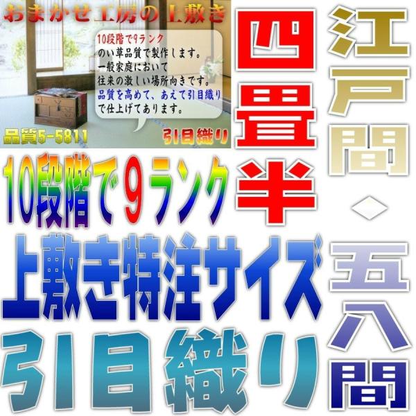 TCYI[_[ ~  J[ybg ]ˊ 58 4.5TCY ڐD 10iK9N̕i 264cmȉ 264cmȉ ܂H[