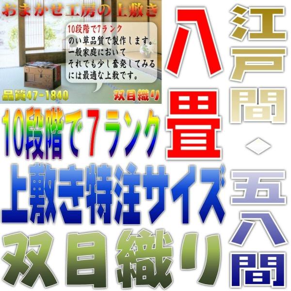 TCYI[_[ ~  J[ybg ]ˊ 58 8TCY oڐD 10iK7N̕i 352cmȉ 352cmȉ ܂H[