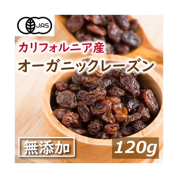 [YyL@JASzI[KjbN[Y 120g Y [ قԂǂ Ԃǂ mIC L@[Y |Cg O