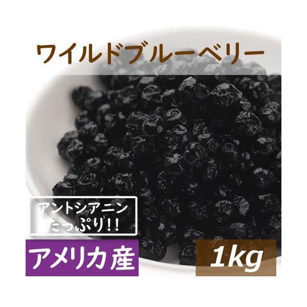 ドライフルーツ ワイルドブルーベリー 1kg アメリカ産 野生種 ドライブルーベリー ブルーベリー グルメ D10 005 みの屋ヤフー店 通販 Yahoo ショッピング