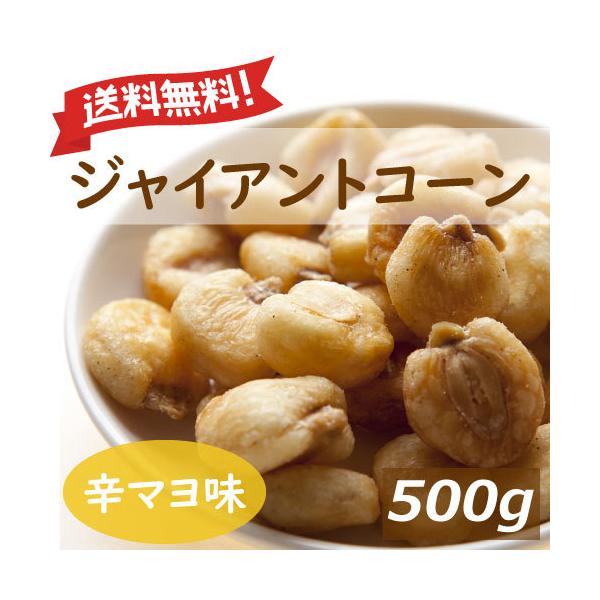  hq}l[Y WCAgR[ 500g {[pbN |Cg O ݂̂