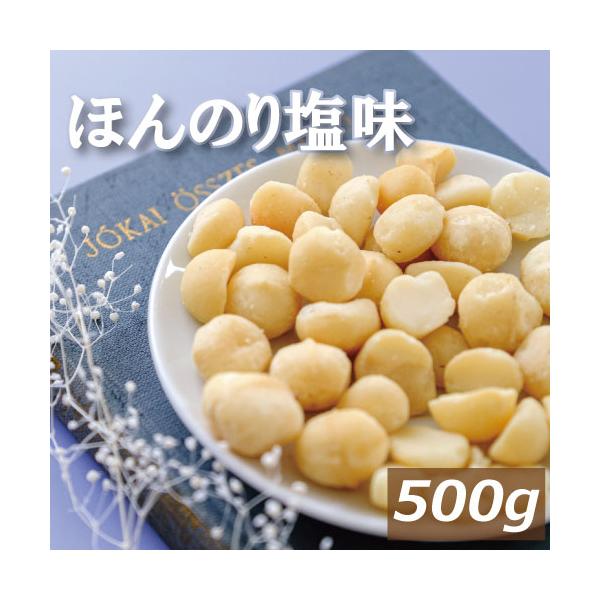 ナッツ 送料無料 マカダミアナッツ ロースト 塩味 500g 製造直売 グルメ みのや