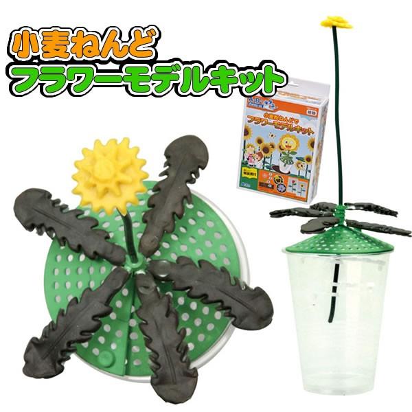 小麦粉ねんどでフラワーモデルキット 自由研究 夏休み 工作 自由工作 理科 実験 観察 グッズ 理科 低学年 家遊び 家で遊ぶ 教材 0557 お祭りコム Tシャツ 無地 プリント 通販 Yahoo ショッピング