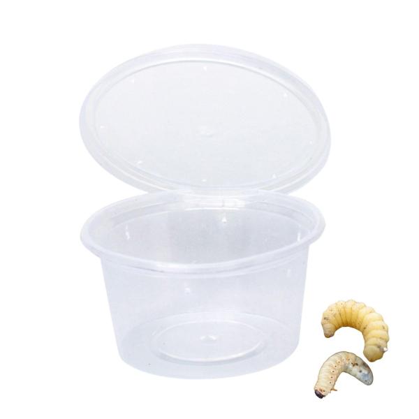 カブクワ引退セット　飼育ケース25個セット+プリンカップ大60個＋オマケ カブクワ引退セット 飼育ケース25個セット+プリンカップ大60個＋