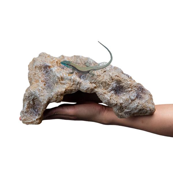 登って遊べる爬虫類 シェルター：高低差を活かしたデザインがレオパ、カナヘビなどトカゲ類やヘビなどの爬虫類の体温調節や活動に最適。日光浴や隠れ家としても利用可能。また、爬虫類以外にも魚やエビの隠れ家としても使える多機能性。水槽にもピッタリ収ま...