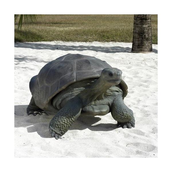 カメオ 動物の人気商品 通販 価格比較 価格 Com