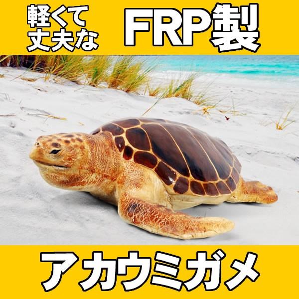 亀 置物 海亀 オブジェ カメ オーナメント 代金引換不可 ディスプレイ Frp制 リアル 動物 産卵場所を探すアカウミガメ Loggerhead Turtle 魚 Fr お祭りコム Tシャツ 無地 プリント 通販 Yahoo ショッピング