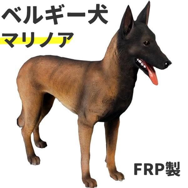 犬 置物 ベルギー犬 いぬ オブジェ イヌ オーナメント ディスプレー 代金引換不可 ディスプレイ Frp制 リアル ベルジアン シェパード ドッグ マリノア Fr お祭りコム 通販 Yahoo ショッピング