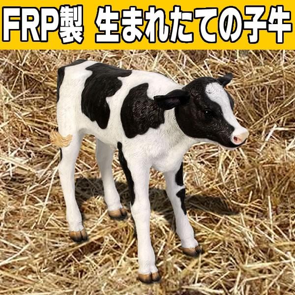 牛 置物 子牛 オブジェ ウシ 置き物 ディスプレーオーナメント 代金引換不可 Frp制 ディスプレイ リアル 動物オブジェ 生まれたての乳牛 公園 広場 展示場 牧場 Fr120076 お祭りコム Tシャツ 無地 プリント 通販 Yahoo ショッピング