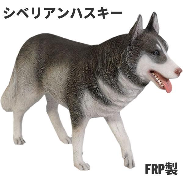 ハスキー 犬 置物 いぬ オブジェ イヌ オーナメント ハスキー犬 ディスプレー 代金引換不可 ディスプレイ Frp制 リアル 実物大 Fr1079 お祭りコム Tシャツ 無地 プリント 通販 Yahoo ショッピング