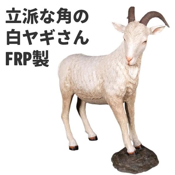 ヤギ グッズ 置物 オブジェ 白ヤギ オーナメント インテリア ディスプレー 代金引換不可 ディスプレイ Frp制 リアル 実物大 オス Prettyfunnyballoons Com
