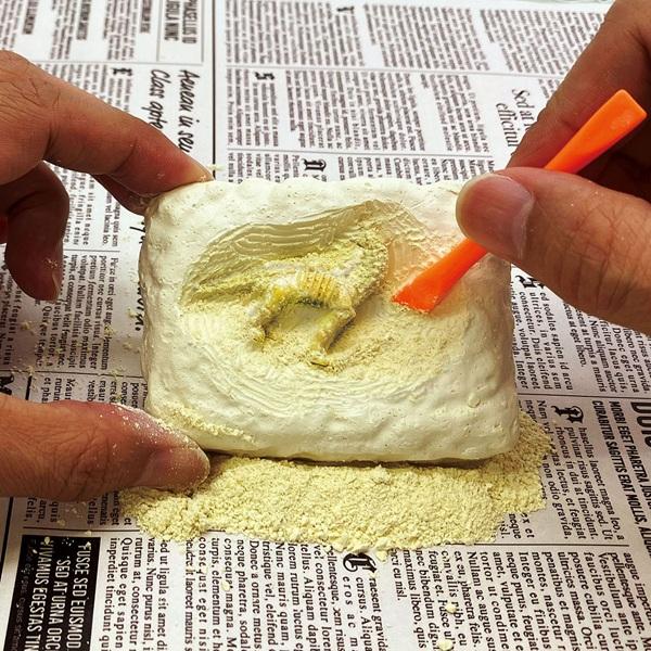 【商品名】発掘！恐竜の化石【18個セット】【商品サイズ】パッケージサイズ：H70xW90xD27mm【色】12種ランダムアソート。色・柄の指定は出来ません。【注意事項】こちらの商品は業務用商材の為、不良品が出たとしても返品・交換・返金は一切...