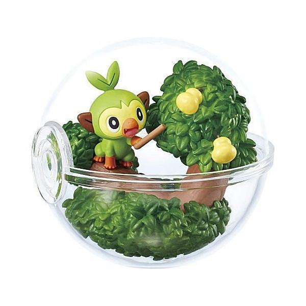 4 サルノリ ポケットモンスター ポケモン テラリウムコレクションex ガラル地方編 リーメント Dejapan Bid And Buy Japan With 0 Commission