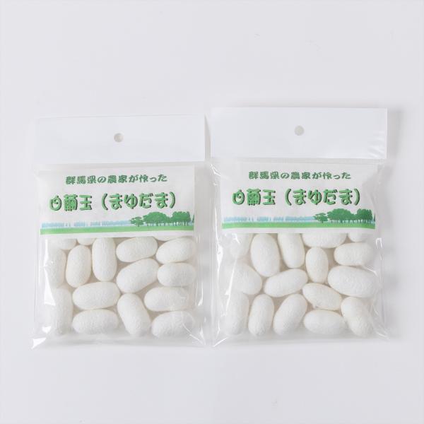 omosirohakubutukan7_201802202