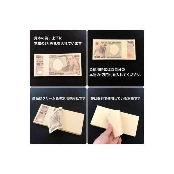 ディスプレイケース 付き 100万円札束 ダミー 百万円 金融機関共通 文字入り リアル帯 札束 ドッキリ プレゼント ジョークグッズ 百万円札 レプリカ 札束 お金 宝くじと一緒に オブジェ 置物 B Southwestne Com