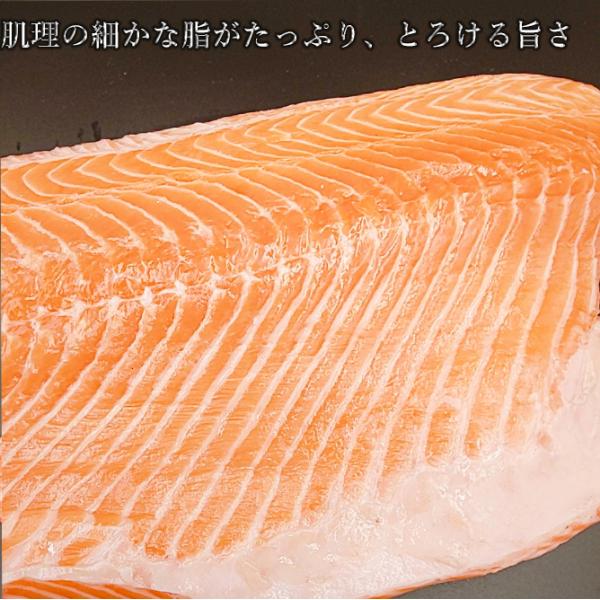とろサーモン watabe-mekiki_salmon-002