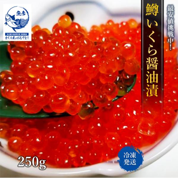 いくら醤油漬 最安値 250ｇ いくら イクラ 鱒 醤油漬け イクラ丼 セール 海鮮丼 訳あり マスコ 手巻き寿司 限定 Buyee Buyee 日本の通販商品 オークションの代理入札 代理購入