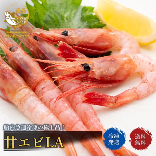 _Ώۏi2w500~^ÃGr 1kg ɏi  LATCY TCY ÊCV 1kg 60 v[g 50 6070 80 Mtg 2025 nEB