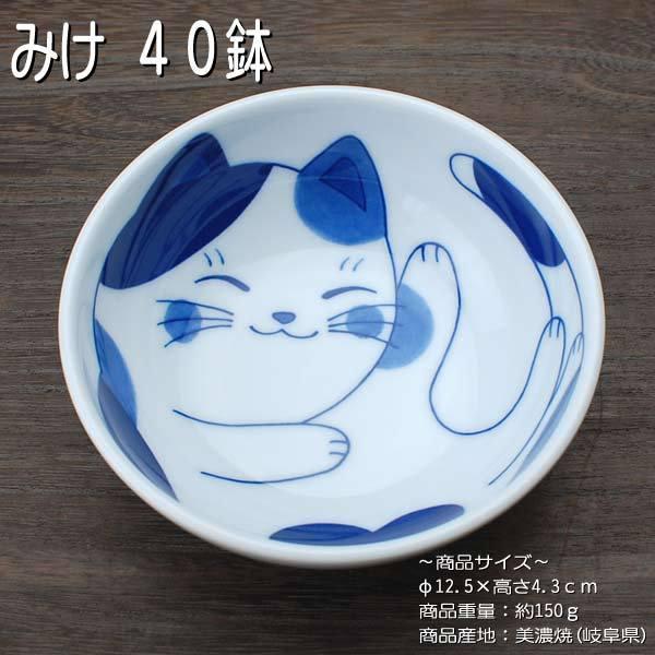 ˂ ~P 4.0 / H  {[ L yʎ  Z 򕌌