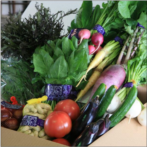 送料無料（ラッピング・送料込みで企画されたギフト商品）でお届けします。鎌倉青果市場が農家から届いた新鮮な鎌倉いちばブランドの旬の野菜を詰め合わせて送ります。鎌倉が作り上げたブランド野菜を楽しんでみてください。　旬の野菜の詰め合わせです。なに...