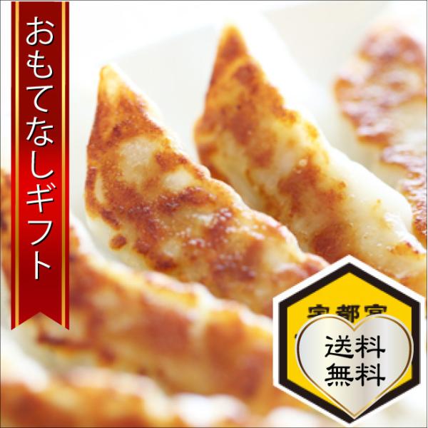 餃子 宇都宮ねぎにら餃子 栃木県の希少野菜のねぎにらをつかった野菜の甘みがするねぎにら餃子（24個入り×2） おもてなしギフト