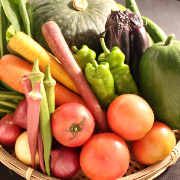 送料無料（ラッピング・送料込みで企画されたギフト商品）でお届けします。おまかせ野菜ギフトBOXです。とれたて新鮮な三浦野菜を詰め合わせました。旬の野菜7品目を詰め合せております。その時一番おススメのお野菜をお送りしている為、セット内容はご注...