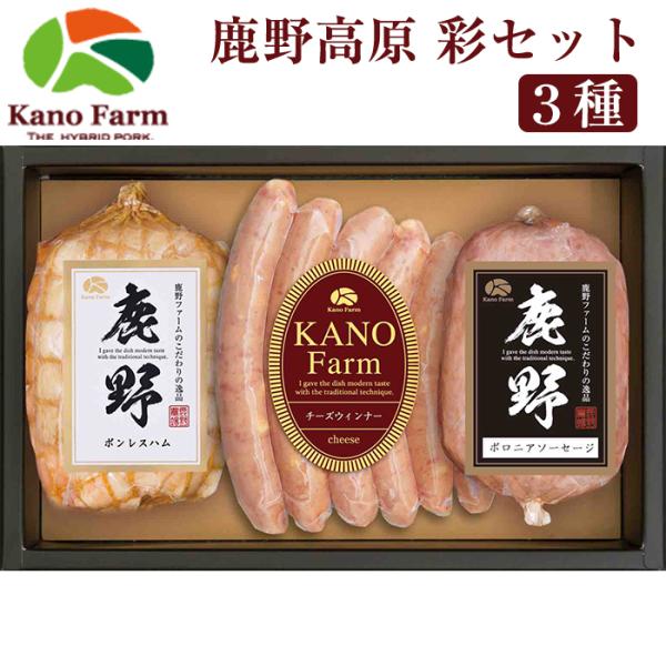 썂 ʂZbg YT-302 i{Xn/`[YECi[/{jA\[Z[W ×e1܁j t@[  l nC|\ ̂Ή