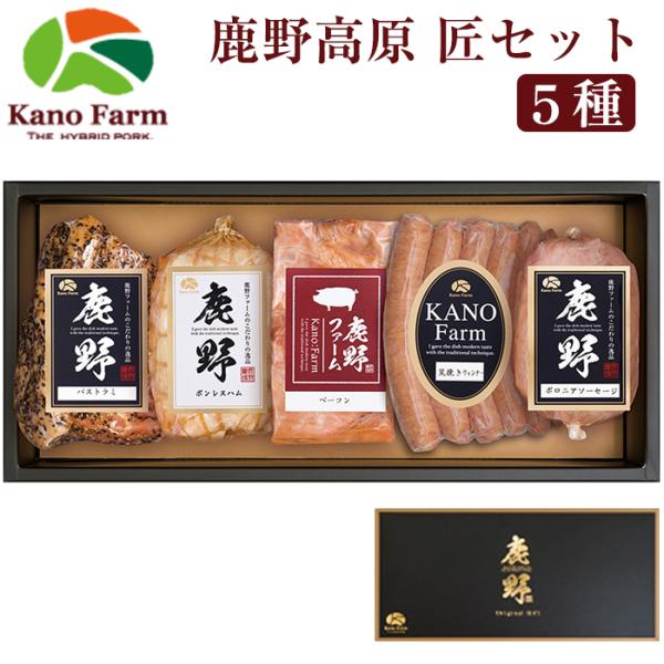 썂 ̋Znlߍ킹 YT-501 pXg~ {Xn x[R r҂|[NECi[ {jA\[Z[W t@[ ̂Ή