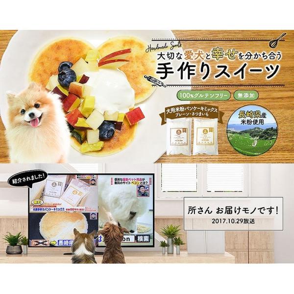 米粉パンケーキミックス プレーン 犬用無添加国産おやつ ネコポス配送 Buyee 日本代购平台 产品购物网站大全 Buyee一站式代购 Bot Online