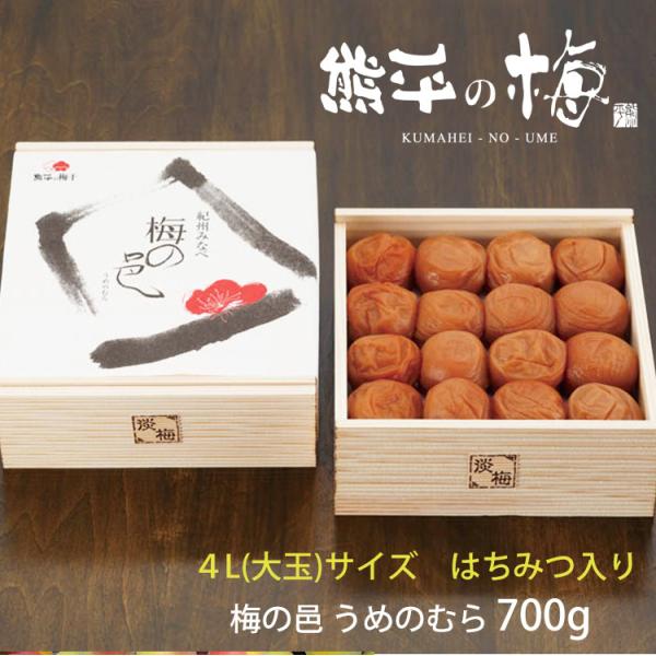 南高梅 4l」の人気商品一覧 | 安い商品を通販サイトから探す