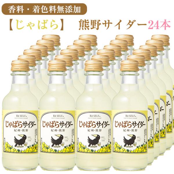 Ε FTC_[ ΂TC_[ 24{Zbg Fۓ EFY ̂Ή ~Mtg