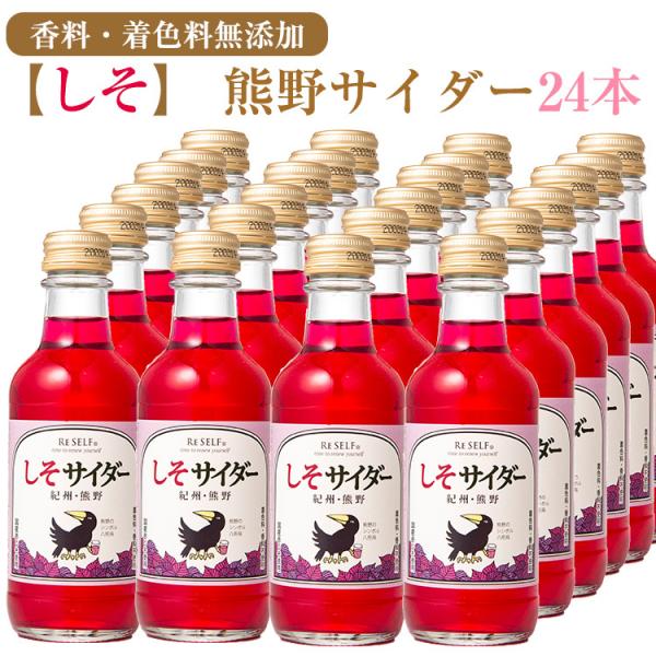 FTC_[ ԂTC_[ 24{Zbg Fۓ EFY ̂Ή