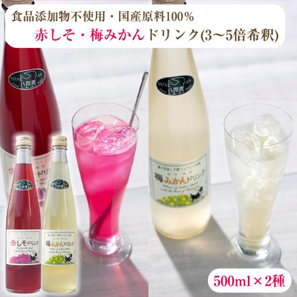 Y100gp Ԃ E ~݂ hNZbg 500ml×2 i3`5{߃^Cvj Fۓ Ԏh W[X