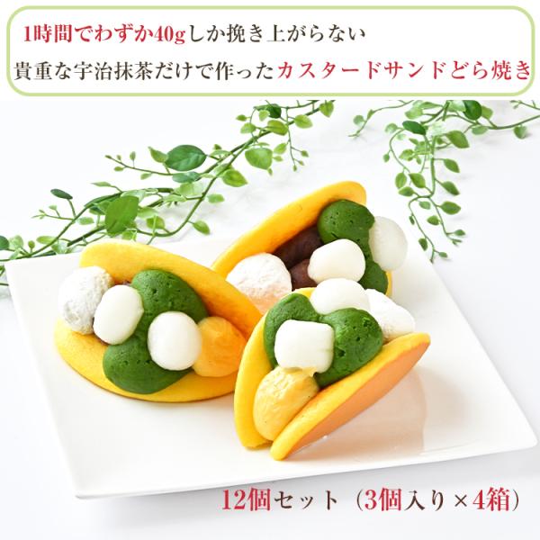 sER F JX^[hThǂĂ 12Zbgi3×4j Ea 傤E͂ ̂Ή