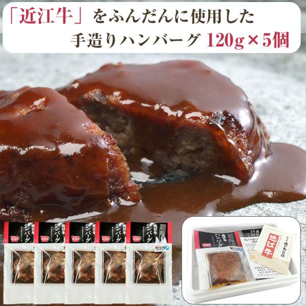 お中元 2026 近江牛 ハンバーグ （デミグラスソース） 120g×5個セット 肉のあさの のし対応可