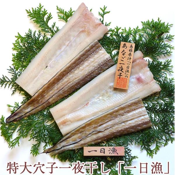 Ε V̉H߁`Ȃ銱l@Ȃ2(v500) xX ̂Ή ~Mtg