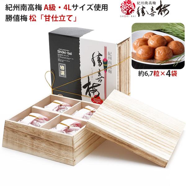 Ε D~ IB썂~ AE4LTCYgp  Îdāiؔjv720g 傤΂  ̂Ή ~Mtg