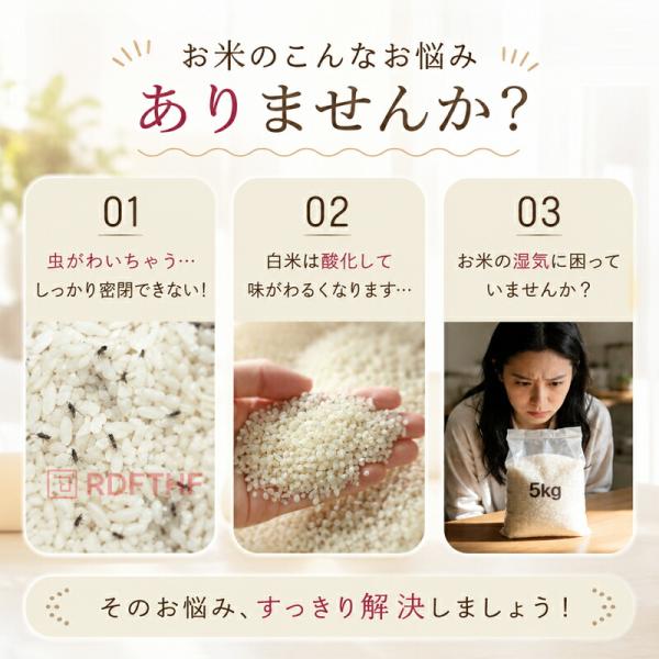 omoto_2606ll1183_2_d_20260626150238