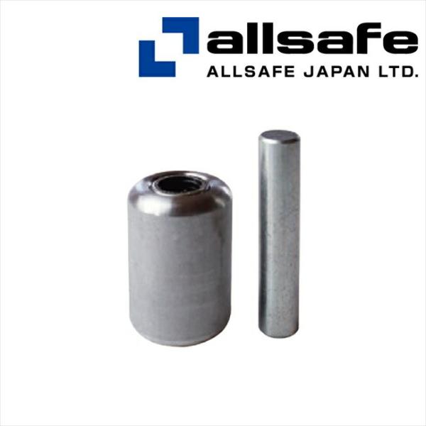 品名：AJS-MR オールセーフ メインローラー（１個）[注意]●乱暴に扱わないでください。●点検してください。●こちらの商品は取寄せ対応品です。　お届けまでの納期約1週間です。●送料：1回のご注文につき600円（税別）の送料をご請求いたし...